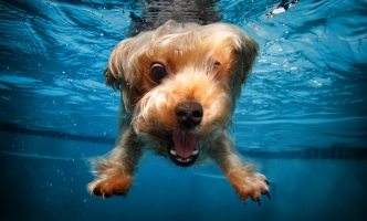 Error veniam dolores dignissimos iste