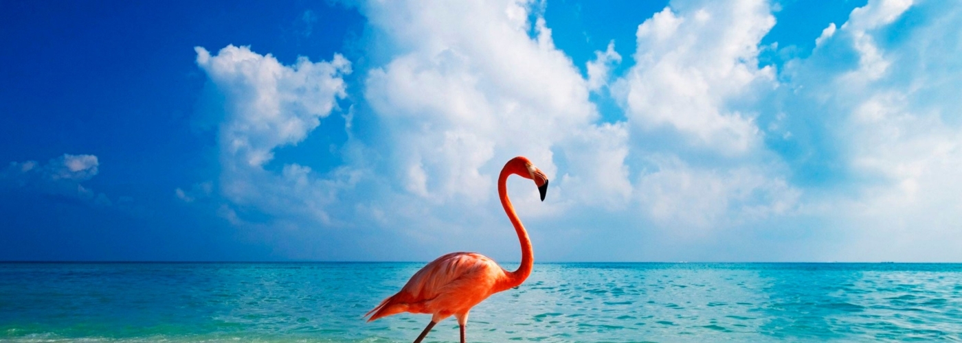 totam dolorum quisquam sed soluta